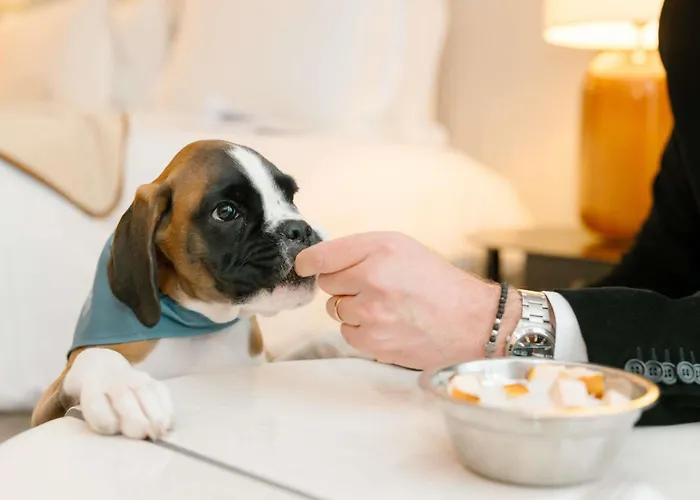 Sofitel Le Scribe OperaHotel Parigi